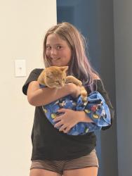 Lost Male Cat last seen Near la Bamba drive, Haslet, TX 76052