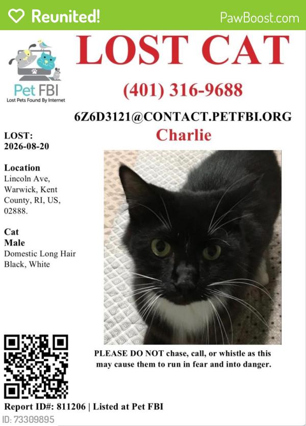 Reunited Male Cat last seen Lincoln Ave and post rd, Warwick, RI 02888