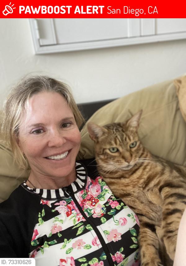 Lost Male Cat last seen Birdrock, San Diego, CA 92037