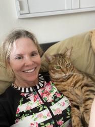 Lost Male Cat last seen Birdrock, San Diego, CA 92037