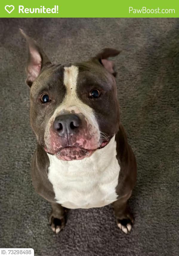 Reunited Male Dog last seen Cheltenham Township, PA, USA, Cheltenham Township, PA 19095