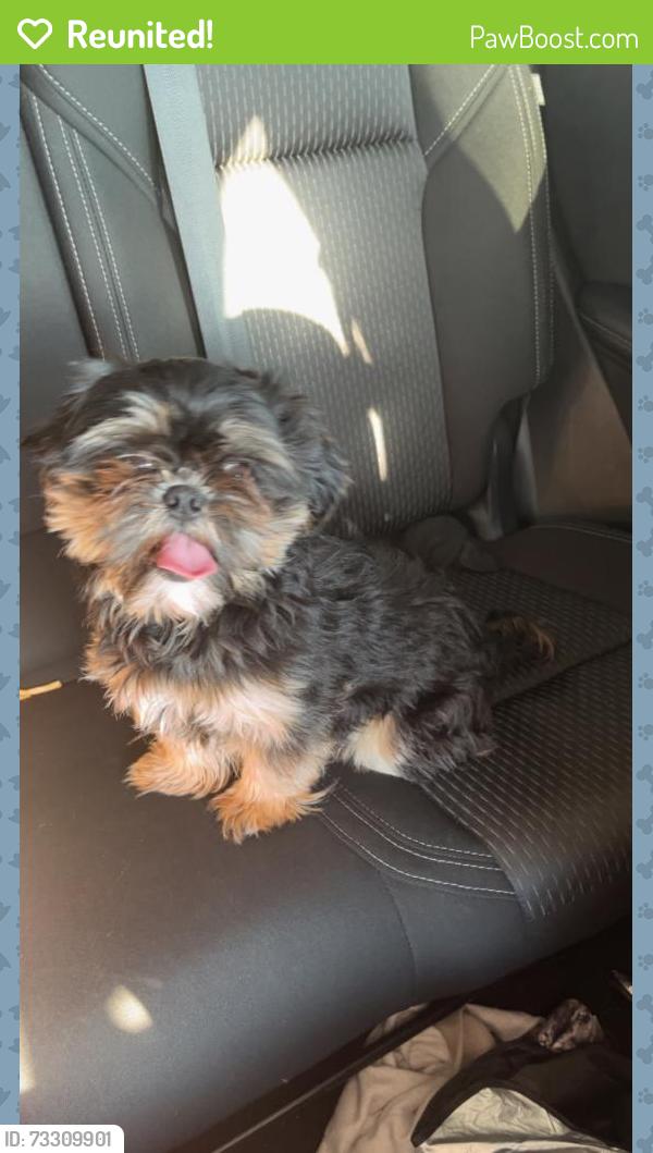 Reunited Male Dog last seen Near Matlock Rd, Mansfield, TX 76063, USA, Mansfield, TX 76063