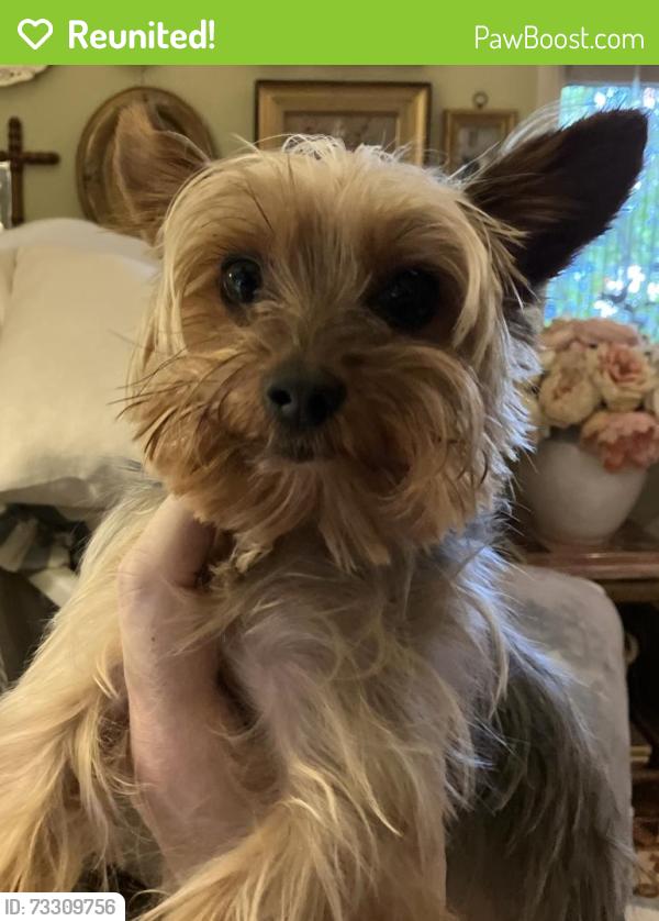 Reunited Male Dog last seen 11th ave., Sacramento, CA 95820