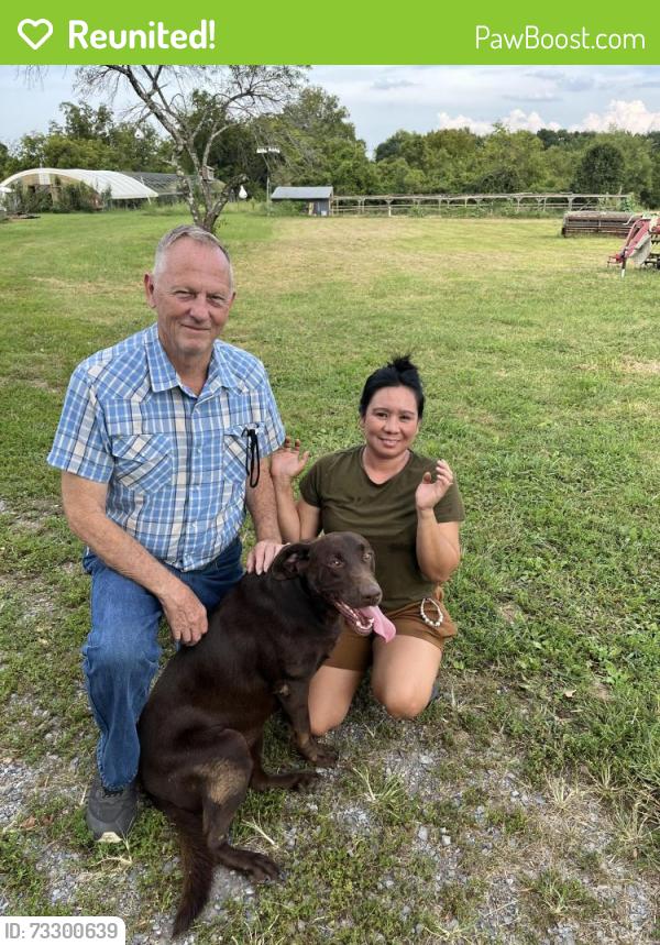Reunited Female Dog last seen Nolichucky Orchard, Morristown, TN 37813