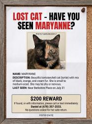 Lost Female Cat last seen Near Berkshire place, Shreveport, LA 71106