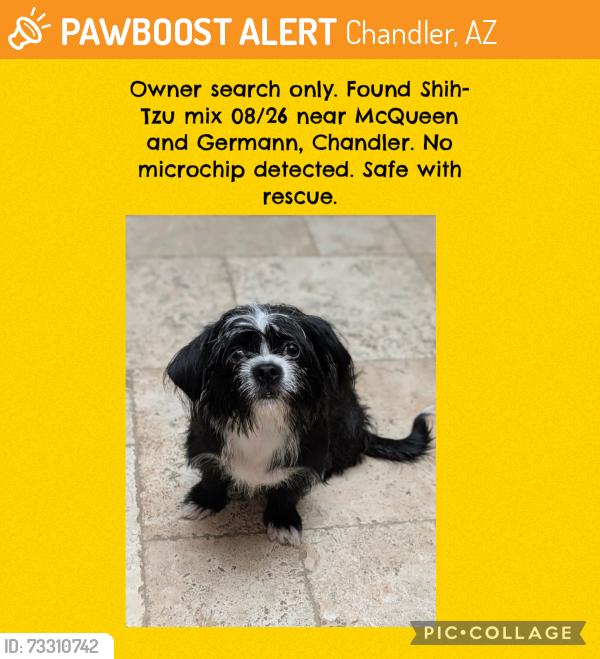 Found/Stray Unknown Dog last seen McQueen and Germann, Chandler, AZ 85286