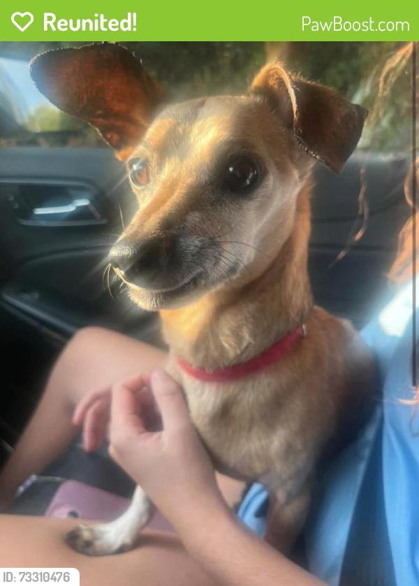 Reunited Male Dog last seen Florence Elementary, Keller, TX 76248
