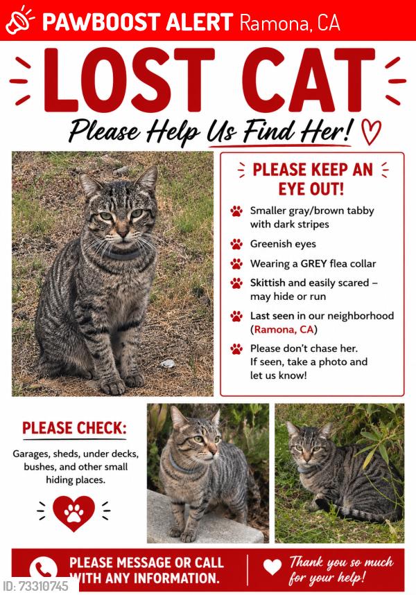 Lost Female Cat last seen Hanson Lane, Ramona, CA 92065