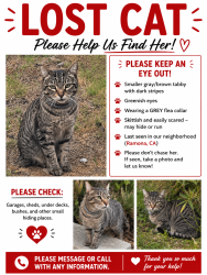 Lost Female Cat last seen Hanson Lane, Ramona, CA 92065
