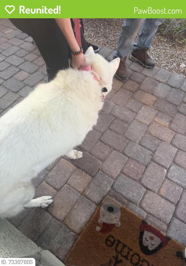 Reunited Unknown Dog last seen Lamb and centennial, North Las Vegas, NV 89081