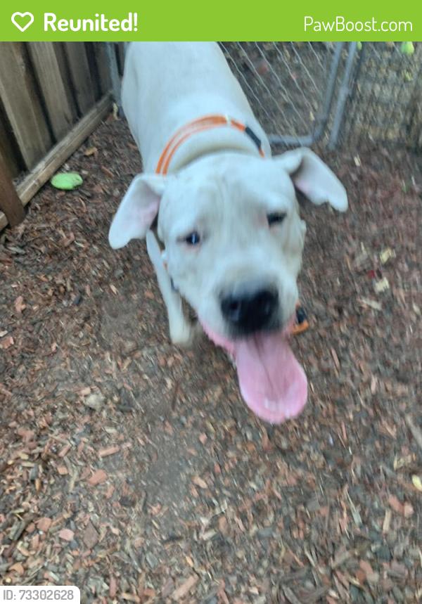 Reunited Male Dog last seen Sunnymere Ave, Oakland, CA 94605