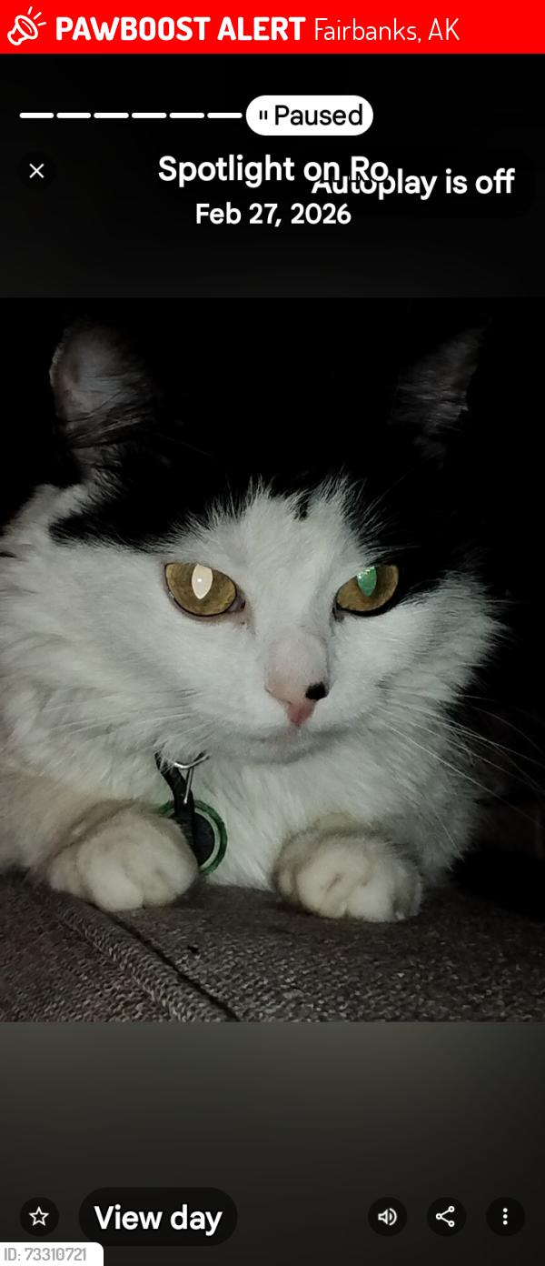 Lost Female Cat last seen College Rd, Fairbanks, AK 99709