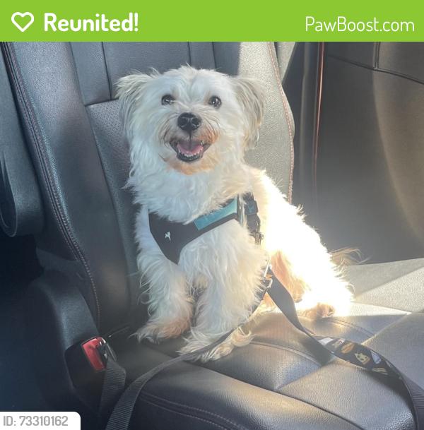 Reunited Male Dog last seen West Iris St/ J Street, Oxnard, CA 93033