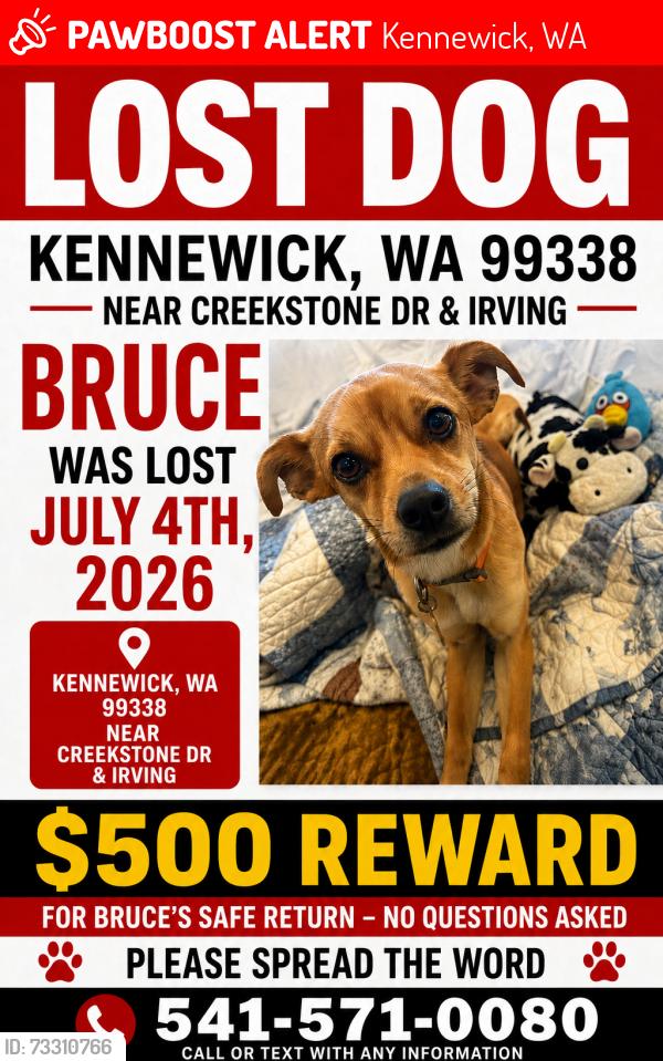 Lost Male Dog last seen S irving st, Kennewick, WA 99337