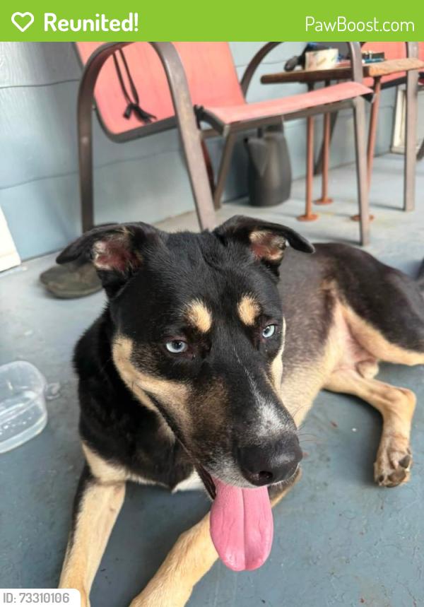 Reunited Male Dog last seen TU, Tulsa, OK 74112