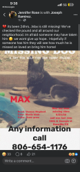 Lost Male Dog last seen 58th & Georgia st, Amarillo, TX 79110