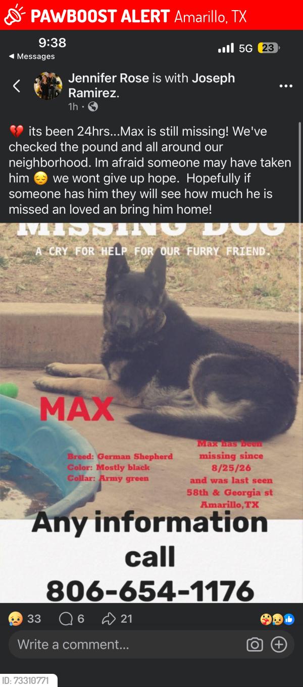 Lost Male Dog last seen 58th & Georgia st, Amarillo, TX 79110