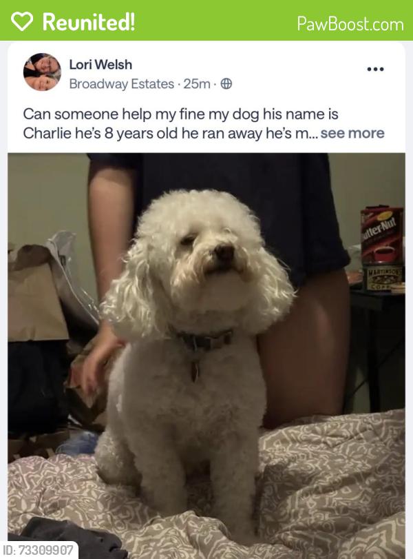 Reunited Male Dog last seen Streets of South glenn, Centennial, CO 80122
