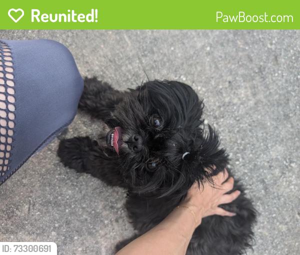 Reunited Female Dog last seen Brazoria park, San Antonio, TX 78254