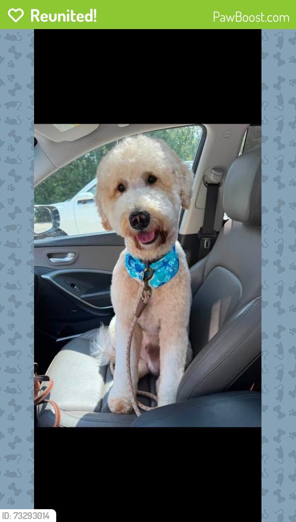 Reunited Male Dog last seen Taylors cove neighborhood, Moody, AL 35004