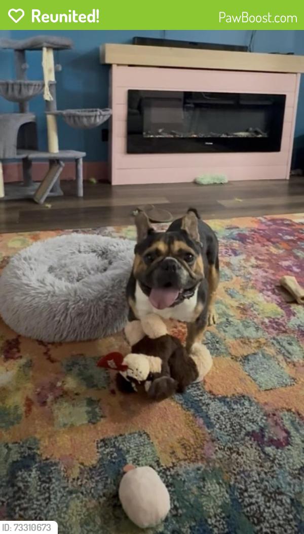 Reunited Male Dog last seen Westcreek and wren, Fort Worth, TX 76133
