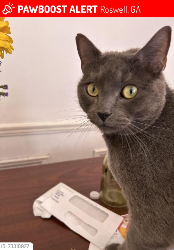 Lost Male Cat last seen Old Alabama road, Roswell, GA 30076