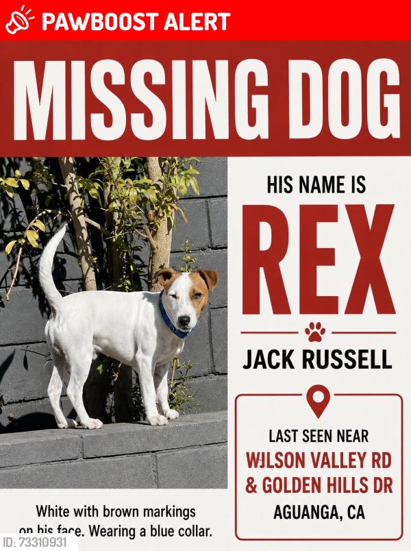 Lost Male Dog last seen Wilson Valley Rd and 371 Aguanga, CA, Riverside County, CA 92536