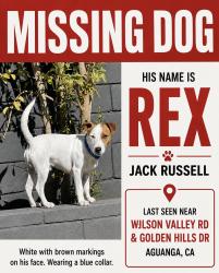 Lost Male Dog last seen Wilson Valley Rd and 371 Aguanga, CA, Riverside County, CA 92536