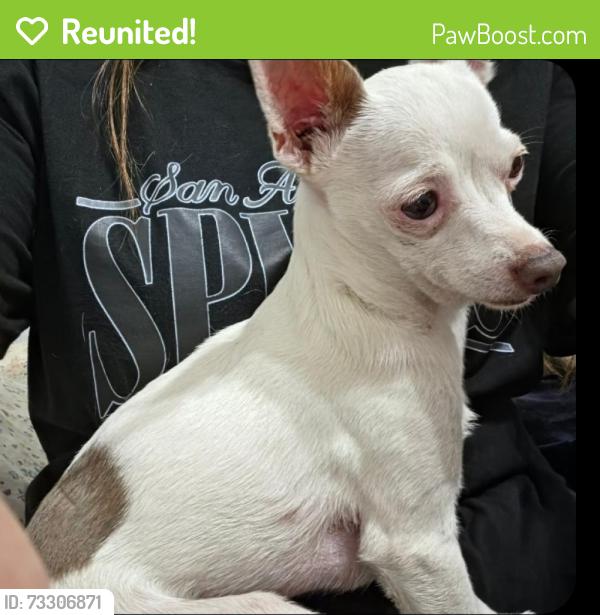 Reunited Male Dog last seen San Jacinto, San Jacinto, CA 92583
