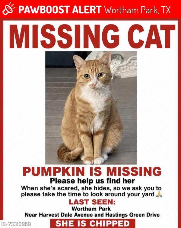 Lost Female Cat last seen Harvest Dale Avenue and Hastings Green Drive, Wortham Park, TX 77065