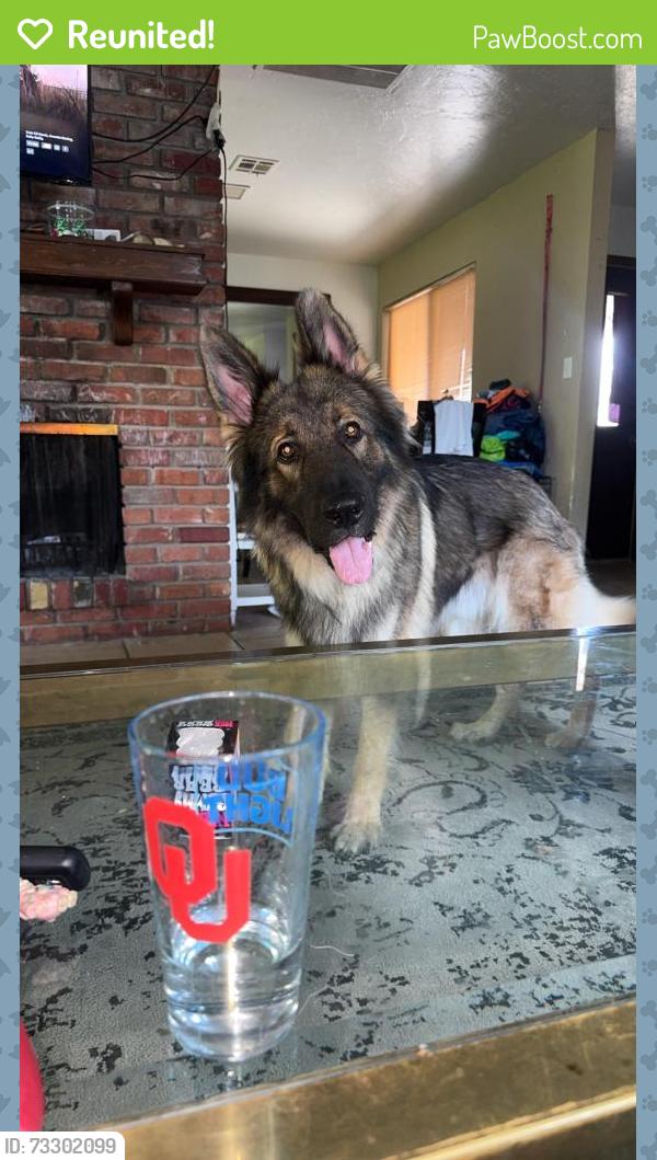 Reunited Male Dog last seen 53rd North Portland, Oklahoma City, OK 73112