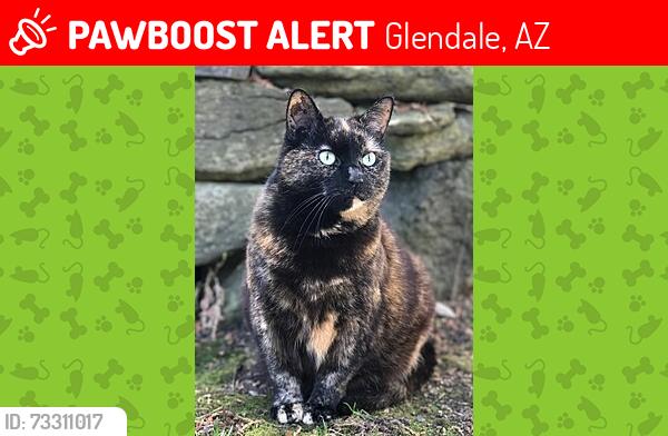 Lost Female Cat last seen Country Gables, Glendale, AZ 85306
