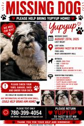 Lost Male Dog last seen 58st and 142ave, Edmonton, AB 