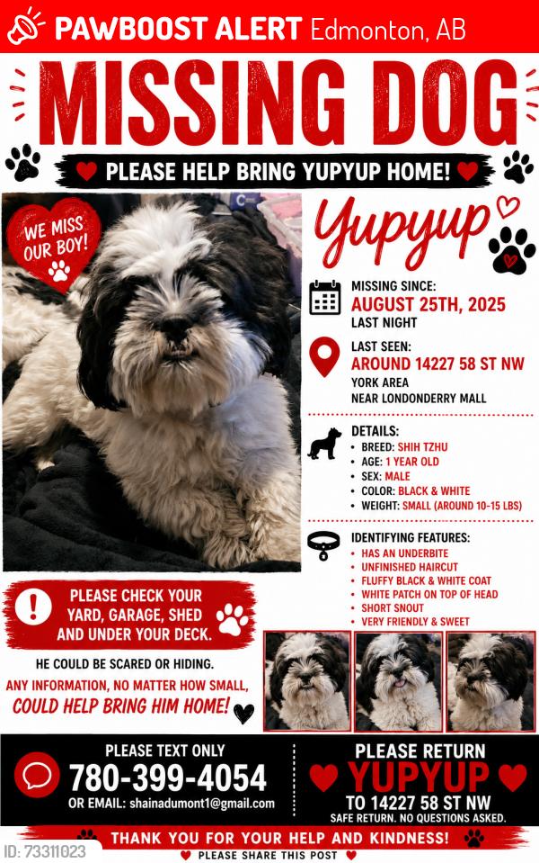 Lost Male Dog last seen 58st and 142ave, Edmonton, AB 
