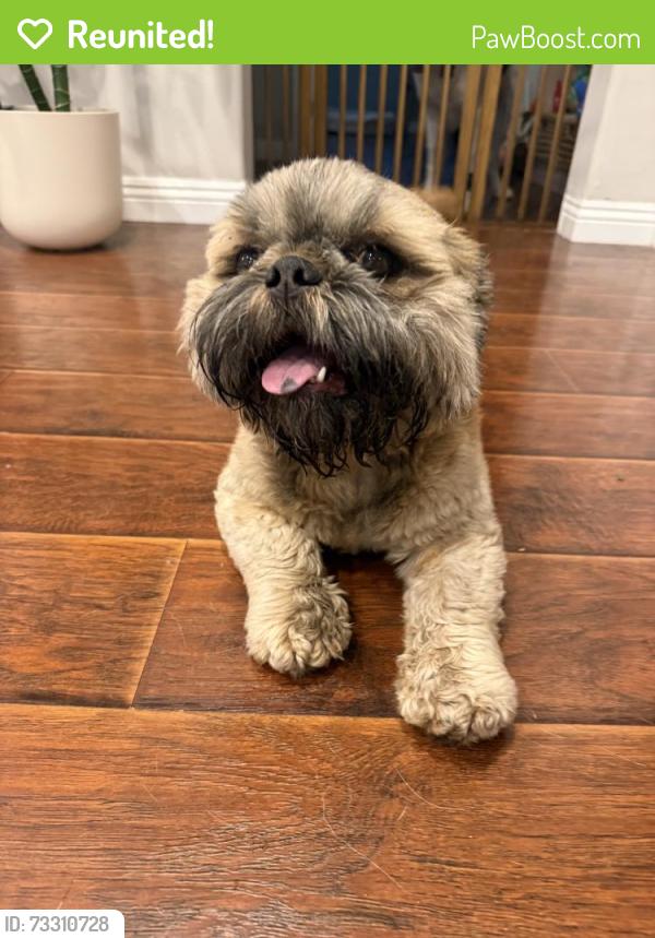 Reunited Male Dog last seen South and clark, Lakewood, CA 90712