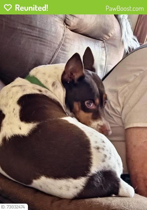 Reunited Male Dog last seen Pine Crest and Britton Rd, Harrah, OK 73045