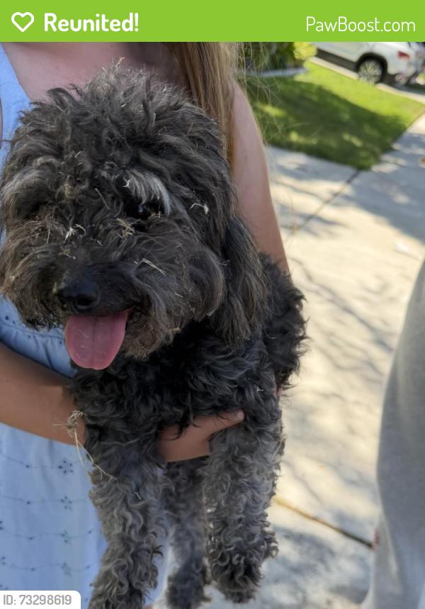 Reunited Female Dog last seen Campanula way, Temecula, CA 92591