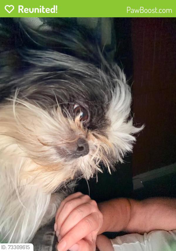 Reunited Male Dog last seen Summerwind apmts, San Jose, CA 95122