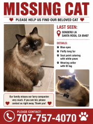 Reunited Male Cat last seen Sebastopol st, Santa Rosa, CA 95407