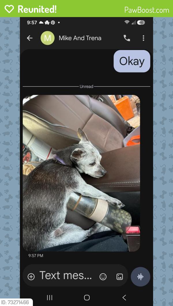 Reunited Female Dog last seen Garrett and Dean Lake, Grand Rapids, MI 49525