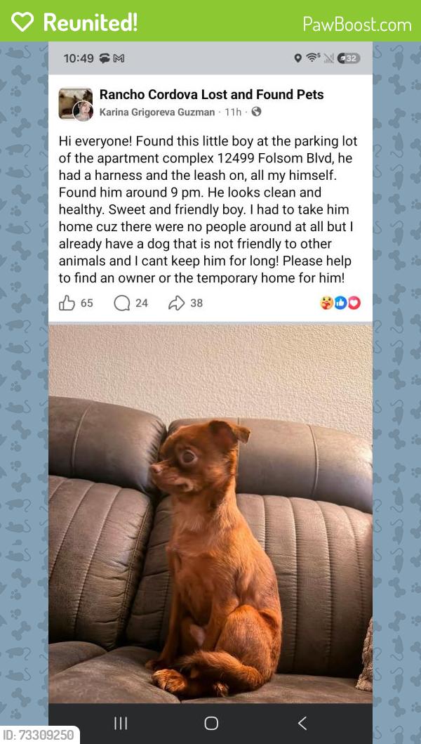 Reunited Unknown Dog last seen Folsom blvd, Rancho Cordova, CA 95742