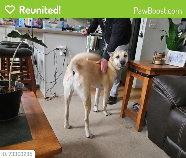 Reunited Male Dog last seen Cedar Ave and East 25th St, Greeley, CO 80631