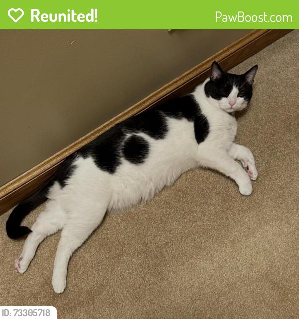 Reunited Male Cat last seen On TWP RD 216 between SR 61 & Co Rd 26, Marengo, OH 43334