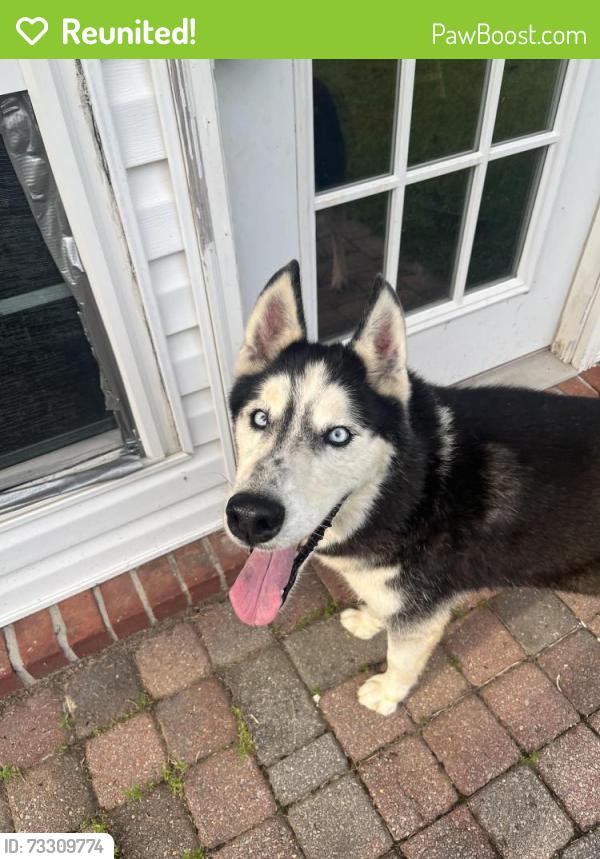 Reunited Male Dog last seen Ziglar & silas, Gonzalez, FL 32533