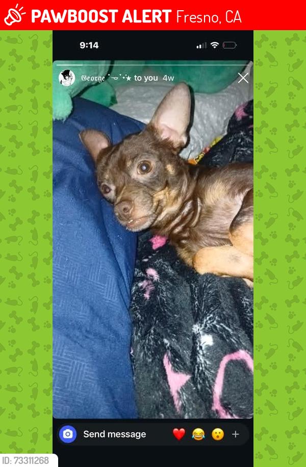 Lost Male Dog last seen Near e weldon Fresno CA 93703, Fresno, CA 93703
