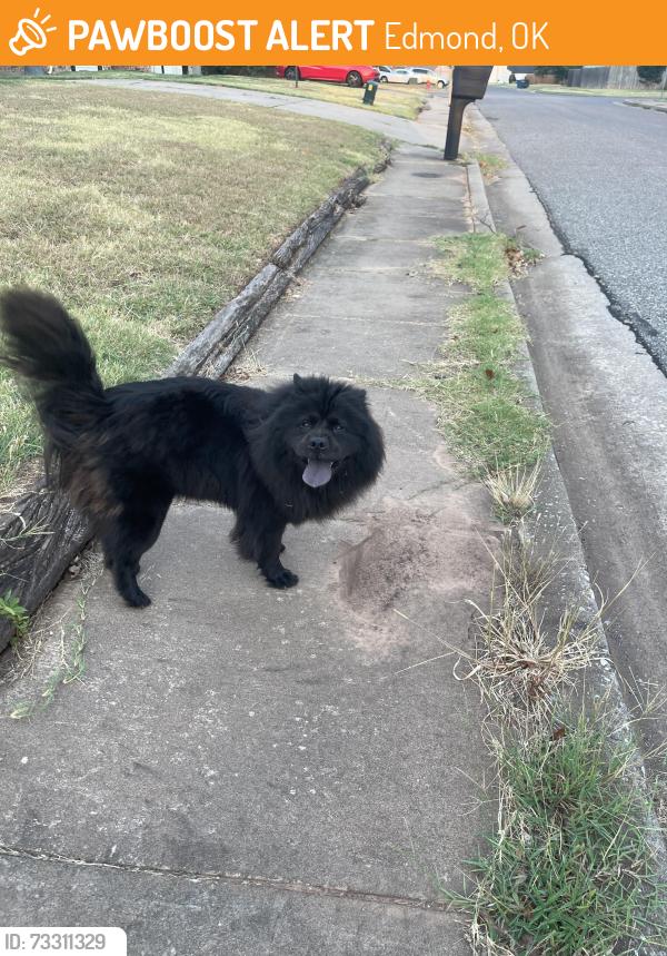 Found/Stray Unknown Dog last seen Pennington ave, 15th st, Edmond, OK 73012