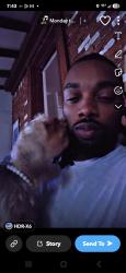 Lost Female Dog last seen Millbranch Holmes Elvis presley, Memphis, TN 38116