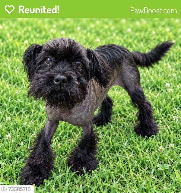 Reunited Male Dog last seen Near Magnolia Woods Elementary, Baton Rouge, LA 70808