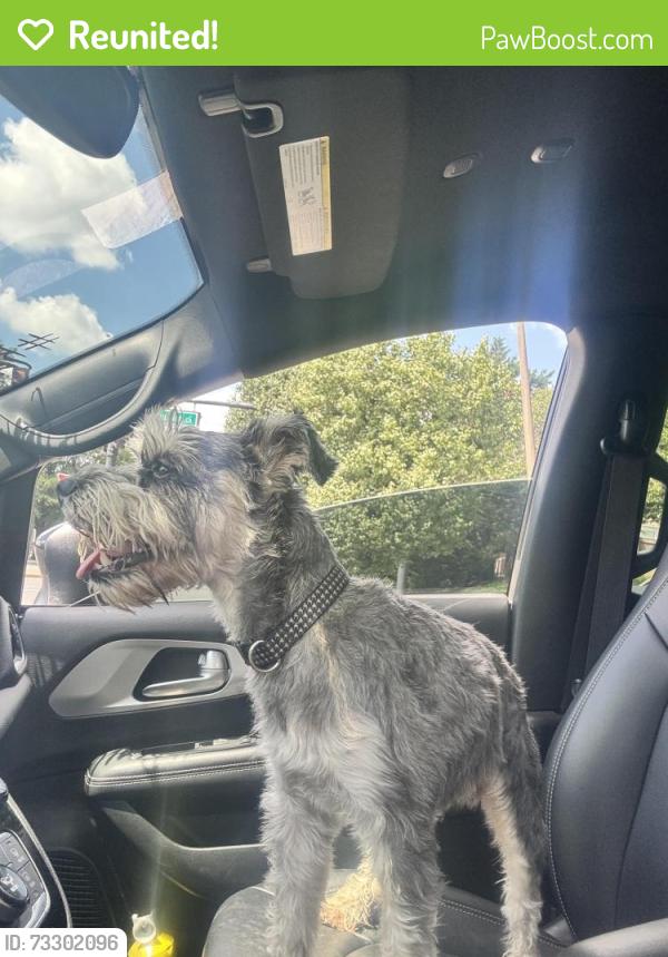 Reunited Male Dog last seen Iverson, Oxon Hill, MD 20745