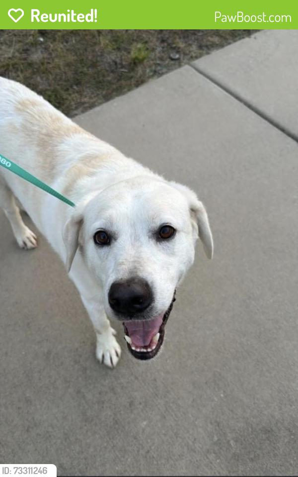 Reunited Male Dog last seen Lauradell rd, Ashland VA,23005, Ashland, VA 23005